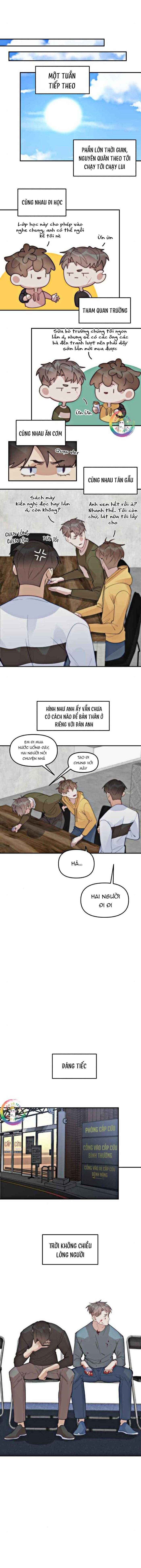 đọc truyện Đàn Anh Sói Ca Cùng Phòng Của Tôi Chương 66 ảnh 20 tại Thiên Thai Truyện