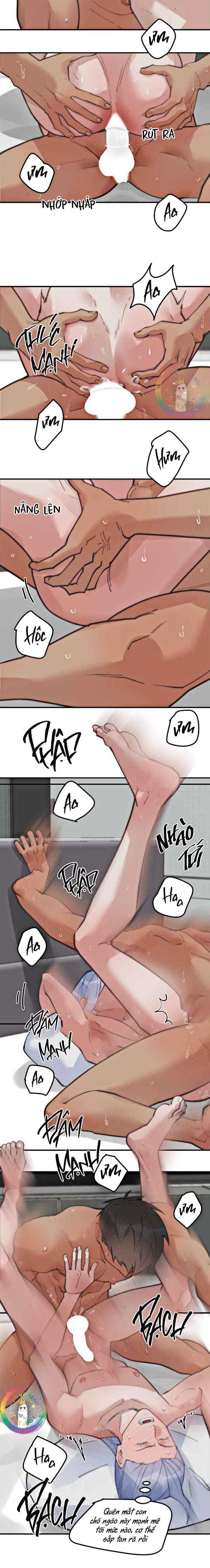 đọc truyện Đàn Anh Sói Ca Cùng Phòng Của Tôi Chương 66 ảnh 11 tại Thiên Thai Truyện