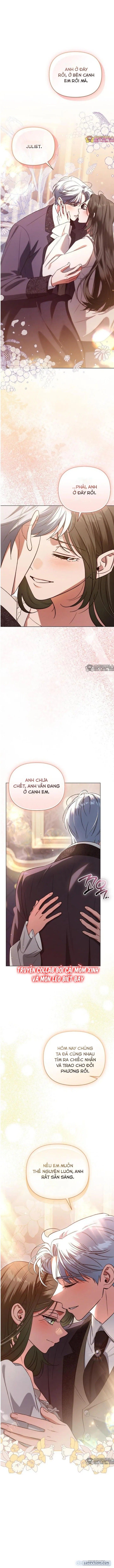 đọc truyện Dành Cho Nàng Juliet Xinh Đẹp Chương 42 ảnh 2 tại Thiên Thai Truyện