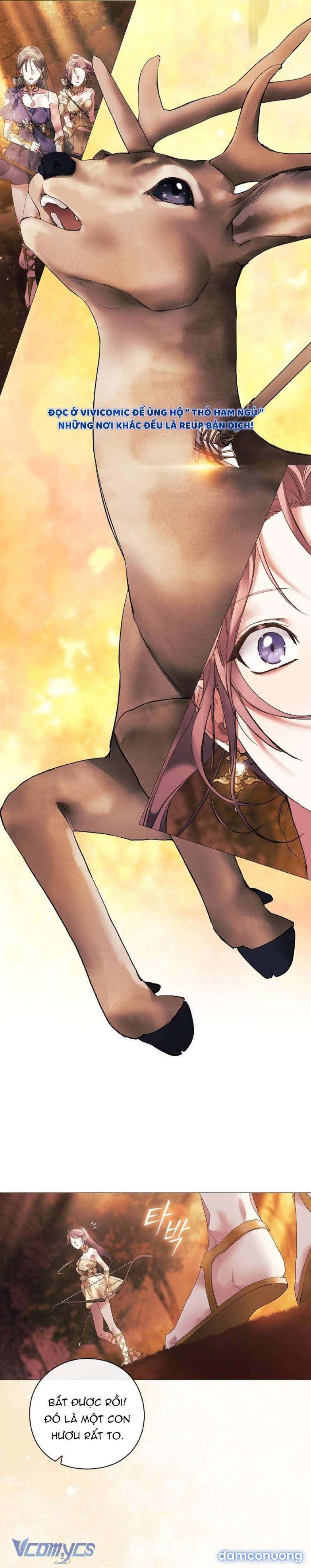 đọc truyện Dành Cho Nữ Thần: Dành Cho Daphne Chương 1 ảnh 6 tại Thiên Thai Truyện