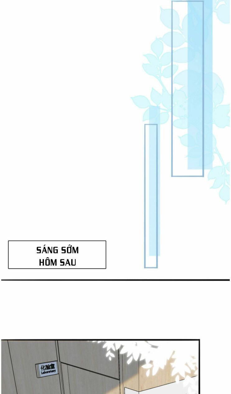 đọc truyện Danh Môn Chí Ái Chương 239 ảnh 22 tại Thiên Thai Truyện