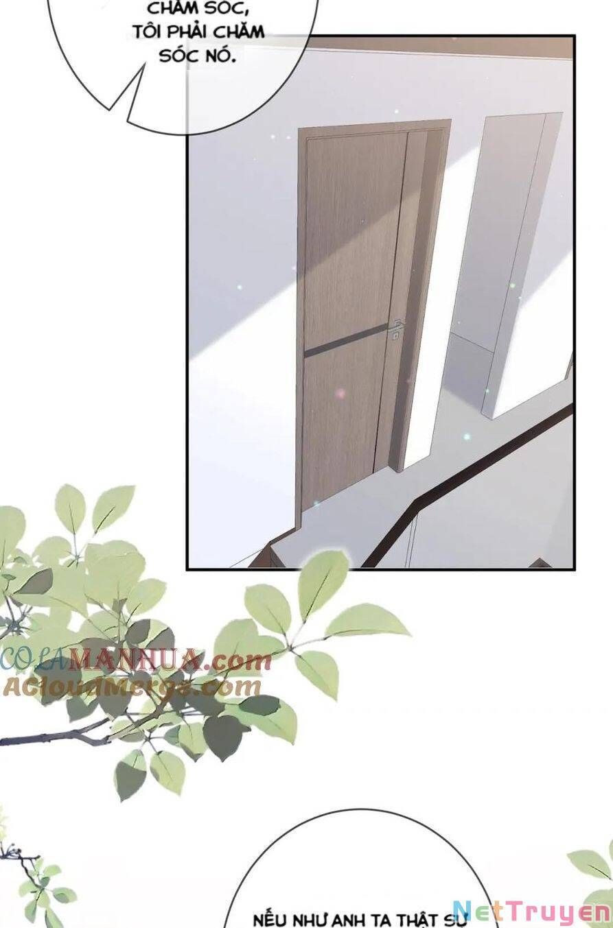 đọc truyện Danh Môn Chí Ái Chương 444.2 ảnh 24 tại Truyện Dạ Ký
