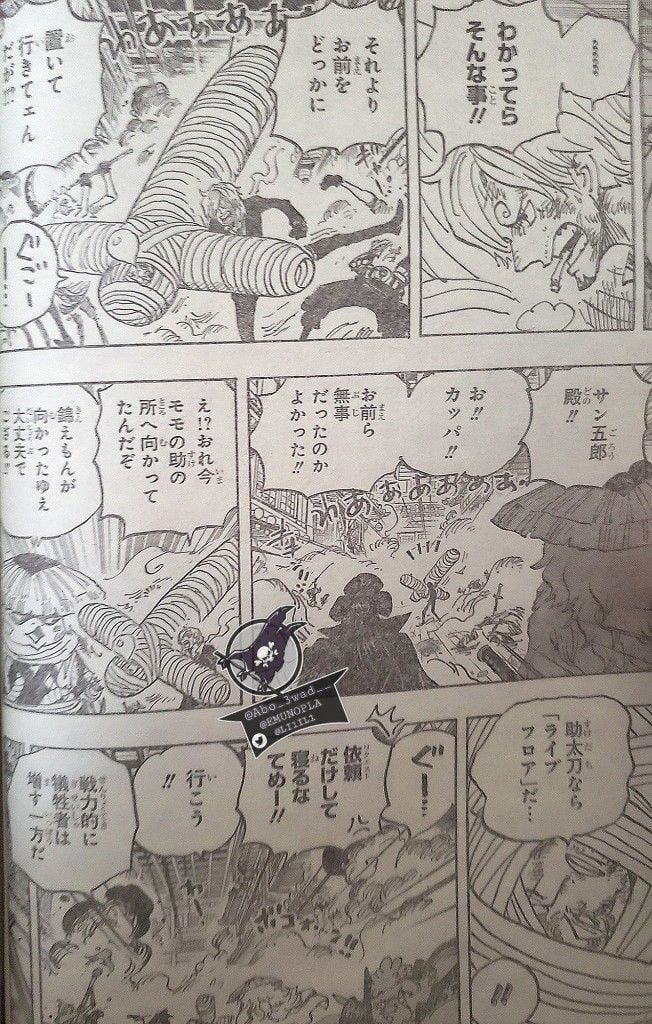 đọc truyện Đảo Hải Tặc Chương 1012 ảnh 12 tại Thiên Thai Truyện