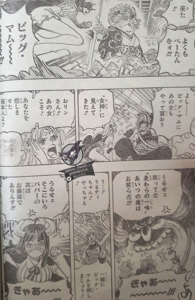 đọc truyện Đảo Hải Tặc Chương 1012 ảnh 14 tại Thiên Thai Truyện