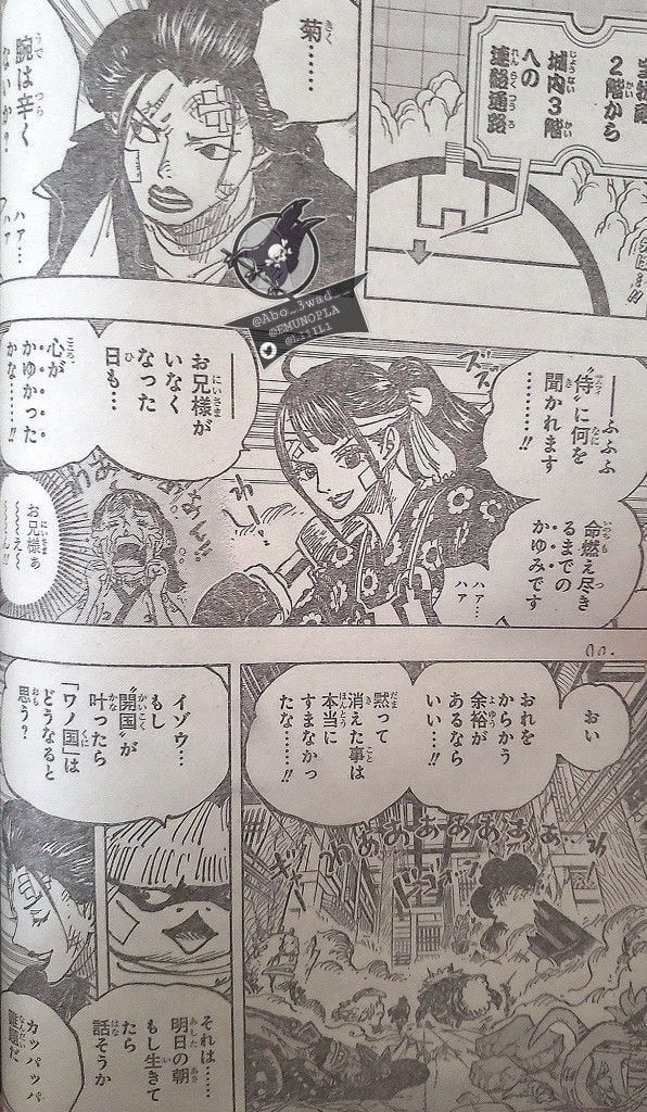 đọc truyện Đảo Hải Tặc Chương 1012 ảnh 4 tại Thiên Thai Truyện