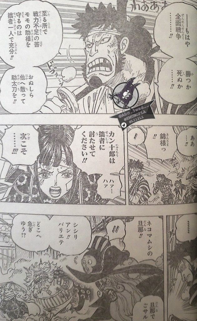 đọc truyện Đảo Hải Tặc Chương 1012 ảnh 5 tại Thiên Thai Truyện