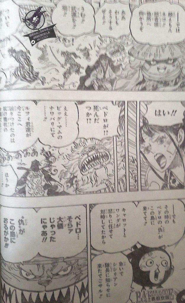 đọc truyện Đảo Hải Tặc Chương 1012 ảnh 6 tại Thiên Thai Truyện