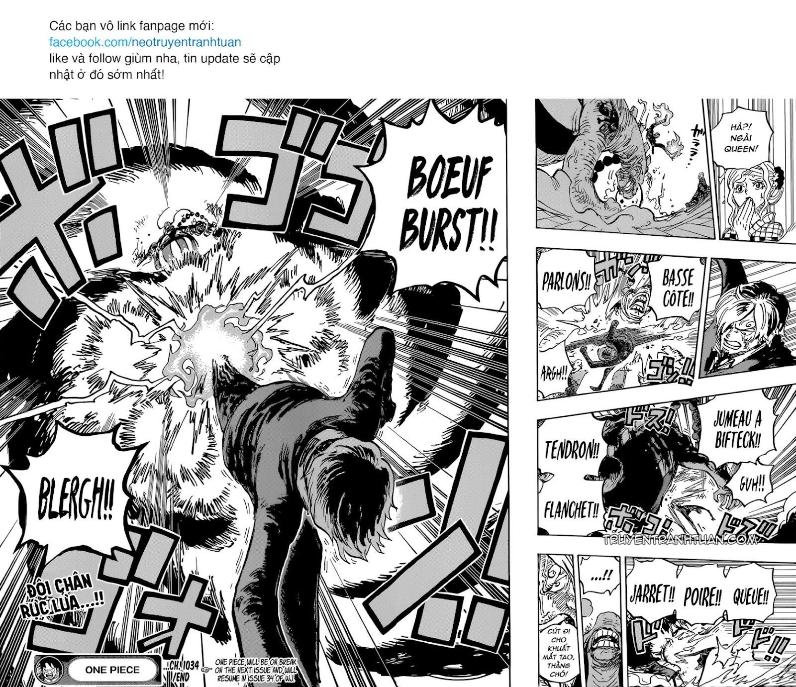 đọc truyện Đảo Hải Tặc Chương 1034 ảnh 15 tại Thiên Thai Truyện