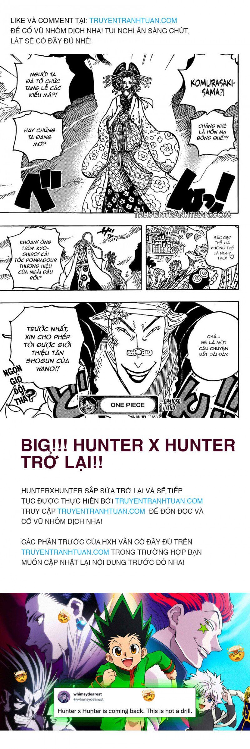 đọc truyện Đảo Hải Tặc Chương 1050 ảnh 16 tại Thiên Thai Truyện