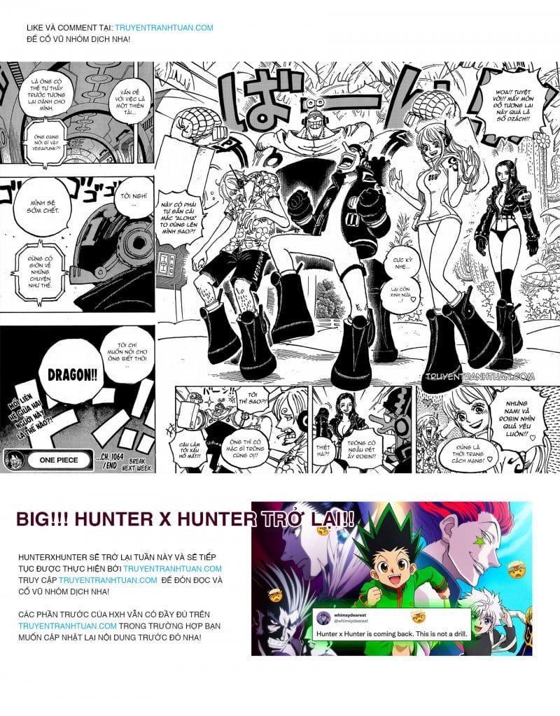 đọc truyện Đảo Hải Tặc Chương 1064 ảnh 17 tại Thiên Thai Truyện