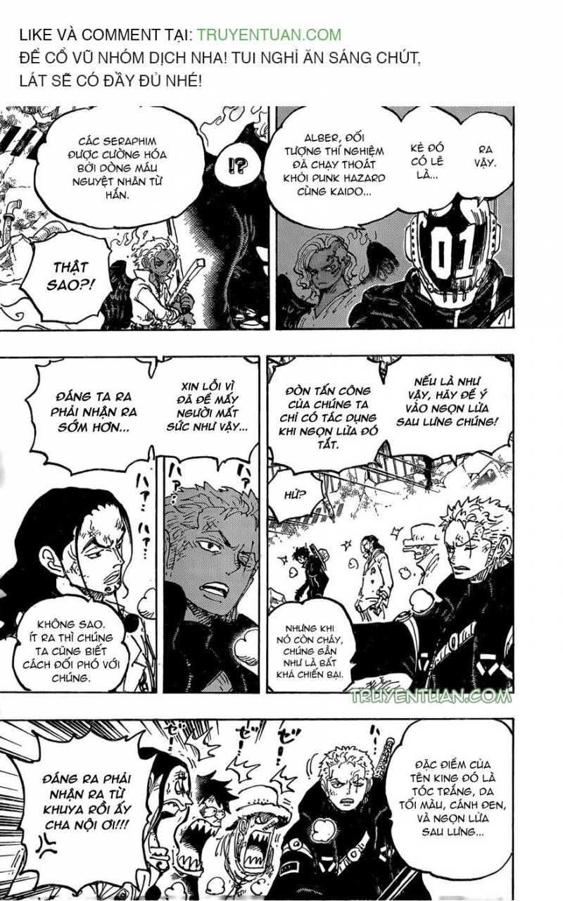 đọc truyện Đảo Hải Tặc Chương 1077 ảnh 9 tại Thiên Thai Truyện