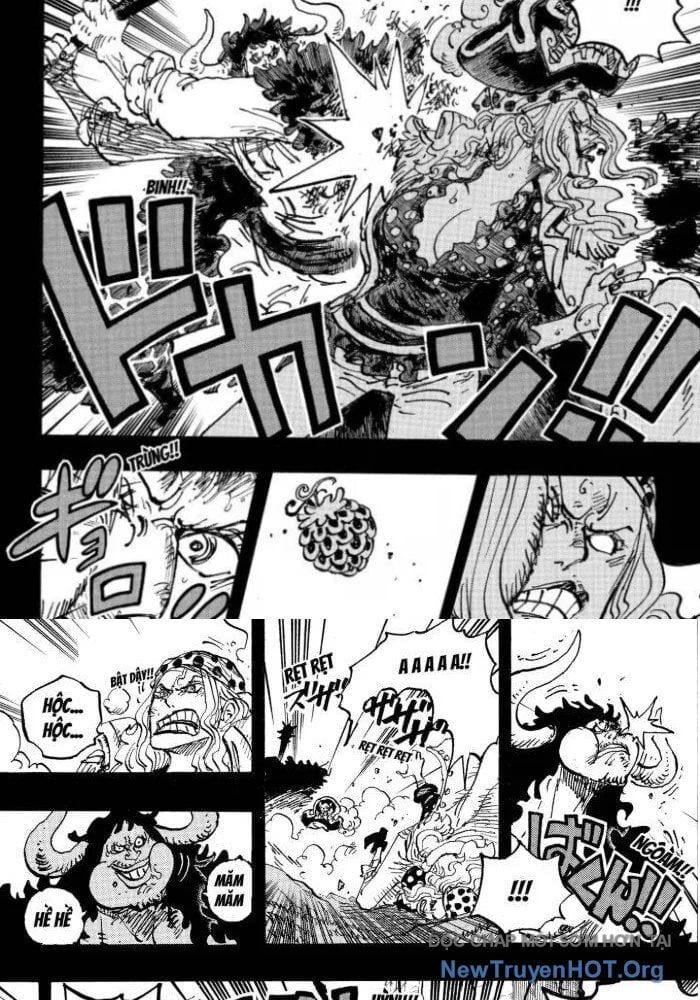 đọc truyện Đảo Hải Tặc Chương 1162.5 ảnh 13 tại Thiên Thai Truyện