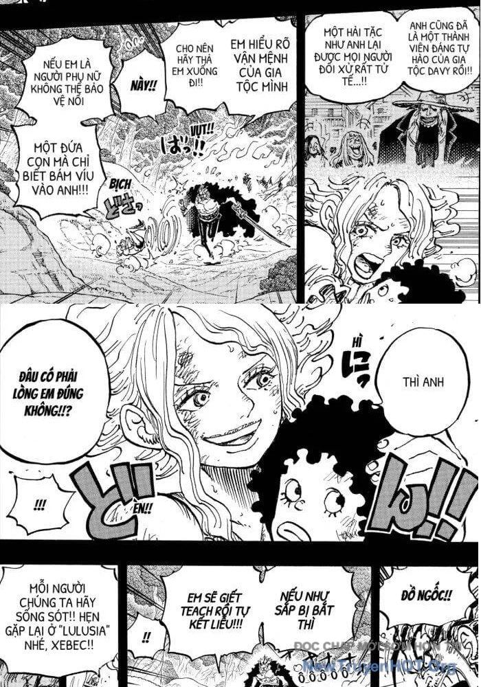 đọc truyện Đảo Hải Tặc Chương 1162.5 ảnh 10 tại Thiên Thai Truyện