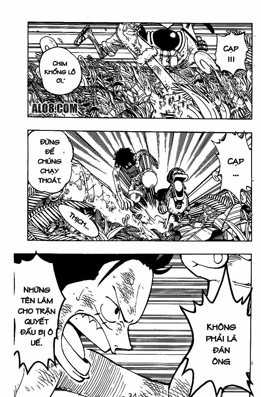 đọc truyện Đảo Hải Tặc Chương 126 ảnh 17 tại Thiên Thai Truyện