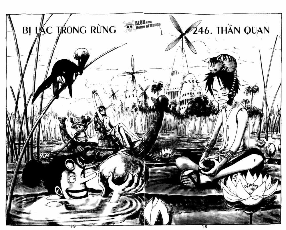 đọc truyện Đảo Hải Tặc Chương 246 ảnh 6 tại Thiên Thai Truyện