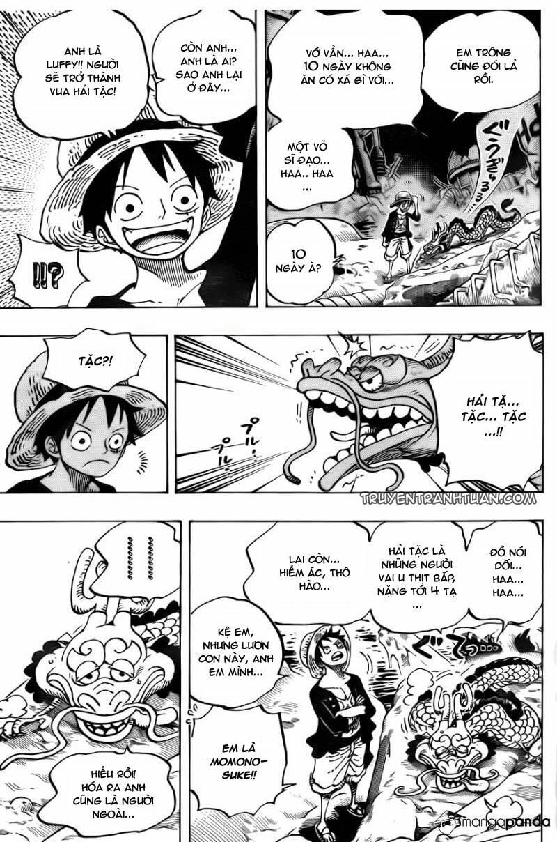 đọc truyện Đảo Hải Tặc Chương 685 ảnh 8 tại Thiên Thai Truyện