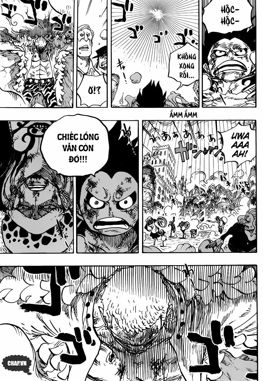 đọc truyện Đảo Hải Tặc Chương 786 ảnh 7 tại Thiên Thai Truyện