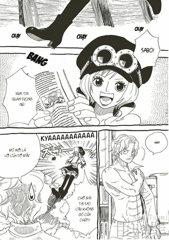 đọc truyện Đảo Hải Tặc Chương 794.5 ảnh 3 tại Thiên Thai Truyện