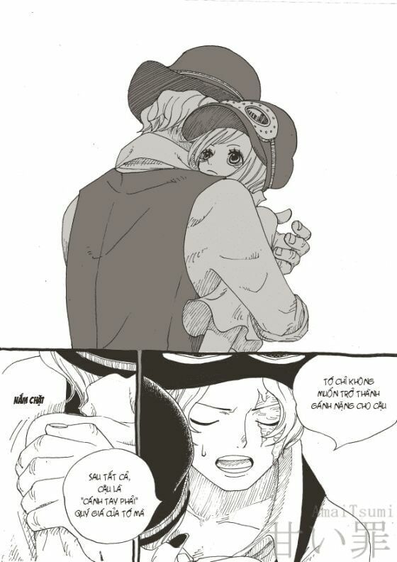 đọc truyện Đảo Hải Tặc Chương 794.5 ảnh 13 tại Thiên Thai Truyện