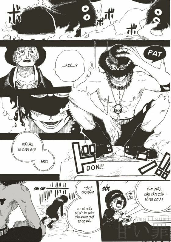 đọc truyện Đảo Hải Tặc Chương 794.5 ảnh 21 tại Thiên Thai Truyện