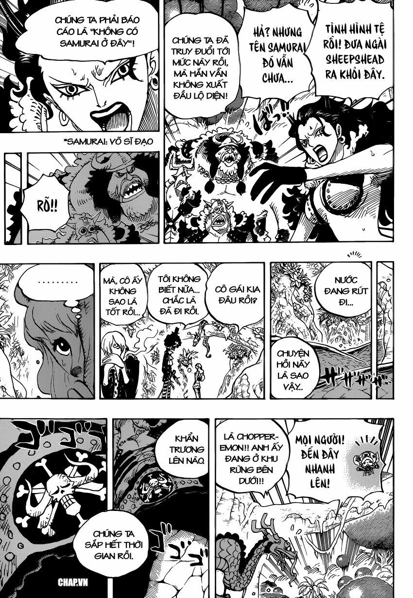 đọc truyện Đảo Hải Tặc Chương 795 ảnh 11 tại Thiên Thai Truyện