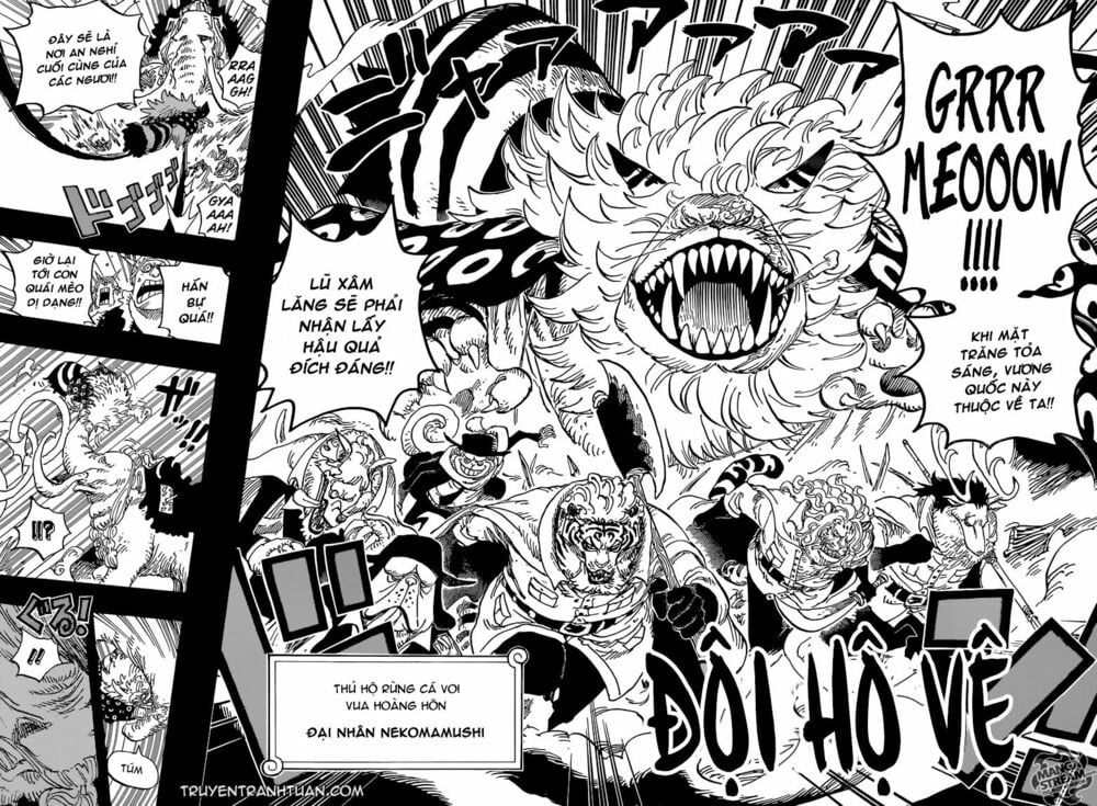 đọc truyện Đảo Hải Tặc Chương 809 ảnh 19 tại Thiên Thai Truyện