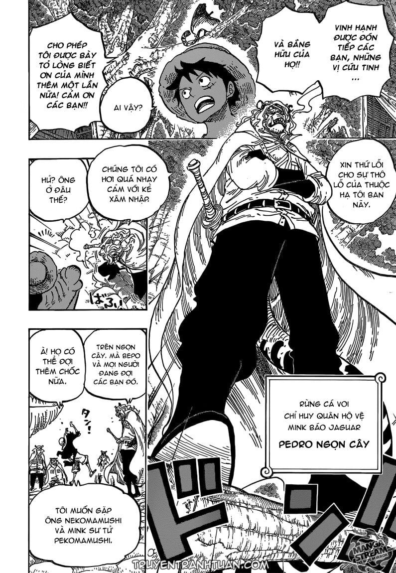 đọc truyện Đảo Hải Tặc Chương 814 ảnh 15 tại Thiên Thai Truyện