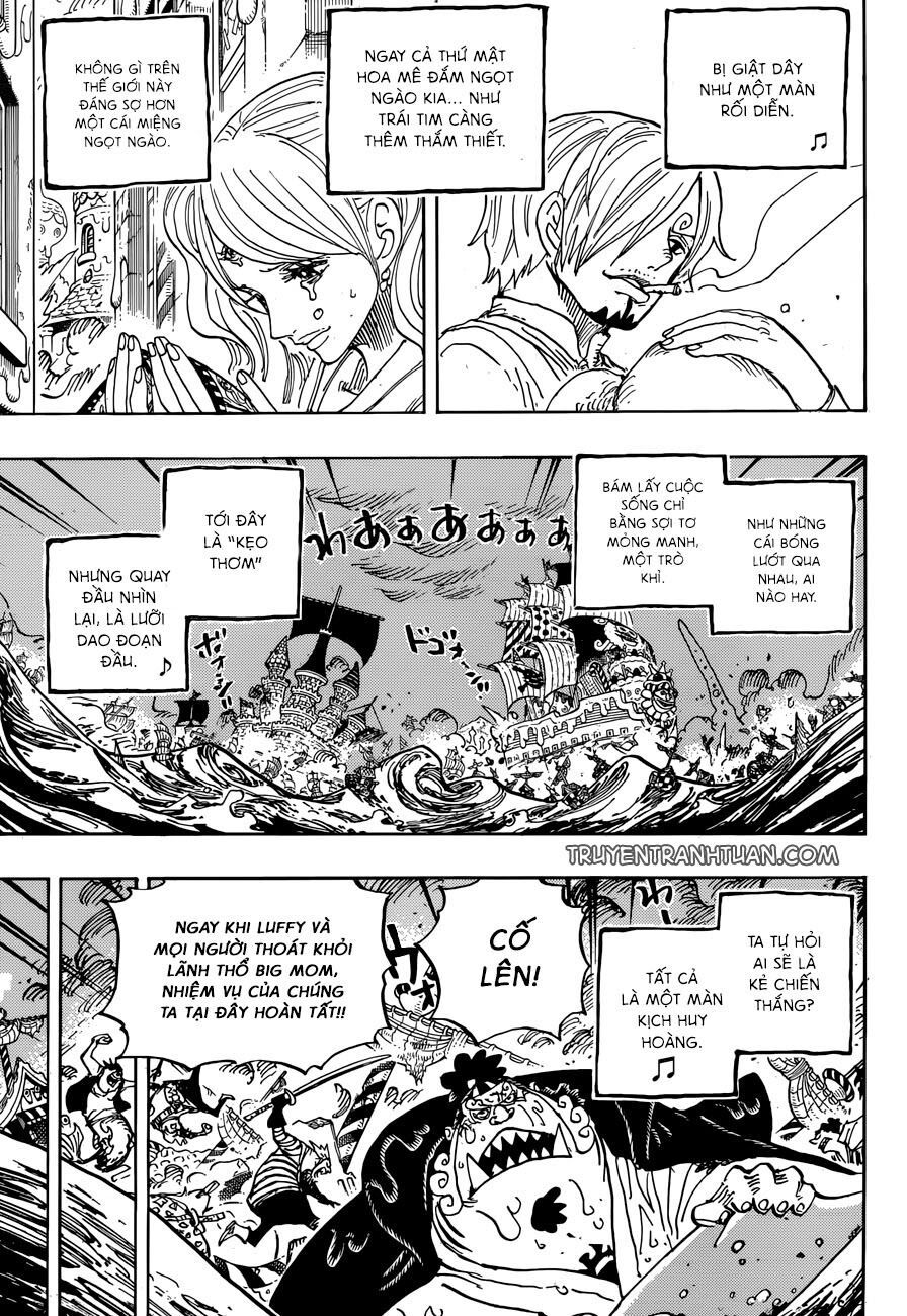 đọc truyện Đảo Hải Tặc Chương 902 ảnh 10 tại Thiên Thai Truyện