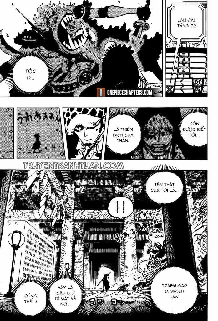 đọc truyện Đảo Hải Tặc Chương 996 ảnh 13 tại Thiên Thai Truyện