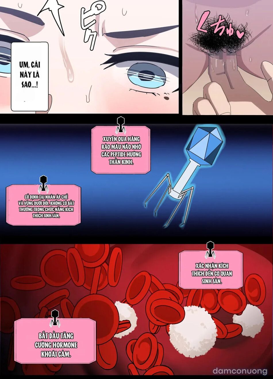 đọc truyện Đạo Luật Biến Vợ Người Thành Lỗ Chịch Chương 2 ảnh 8 tại Thiên Thai Truyện