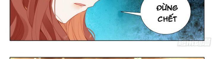 đọc truyện Đấu La Đại Lục 5 - Đường Tam Trùng Sinh Chương 98 ảnh 52 tại Thiên Thai Truyện