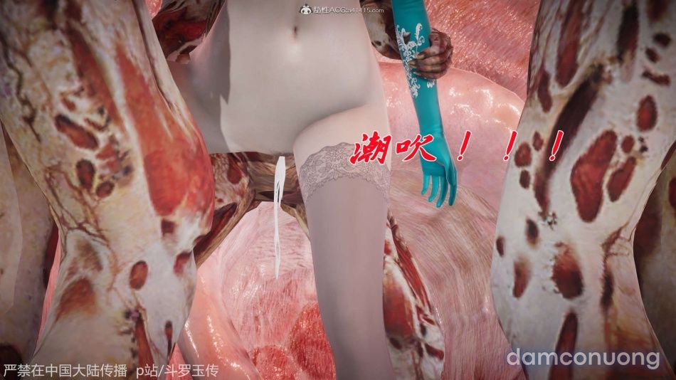 đọc truyện Đấu La Ngọc Truyện Chương 21 ảnh 229 tại Thiên Thai Truyện