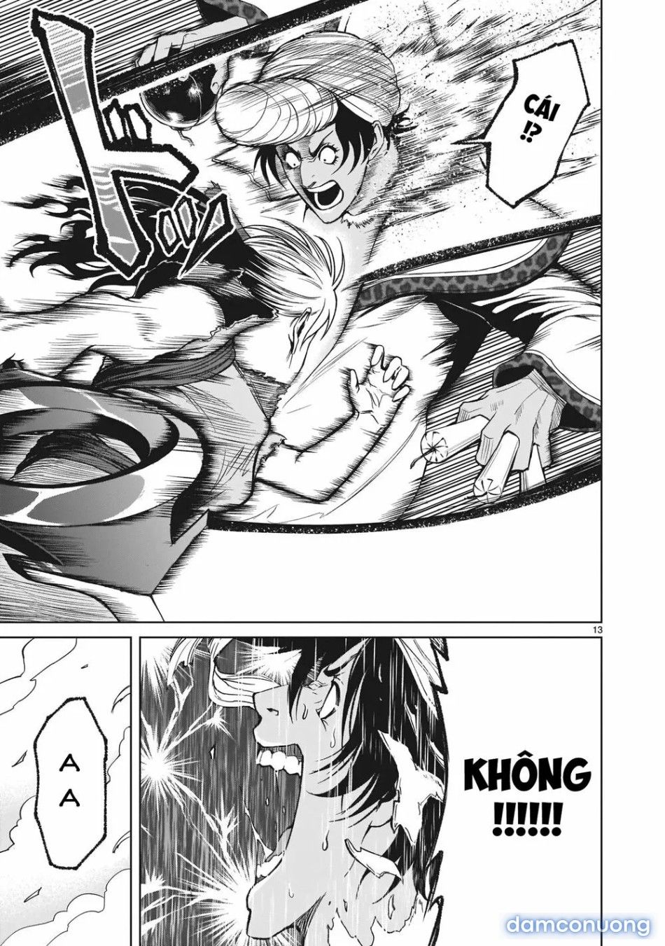 đọc truyện Đấu Trường Hoa Hồng [rosengarten Saga; Rozengaten Saga; Rosen Garten Saga] Chương 13 ảnh 14 tại Thiên Thai Truyện