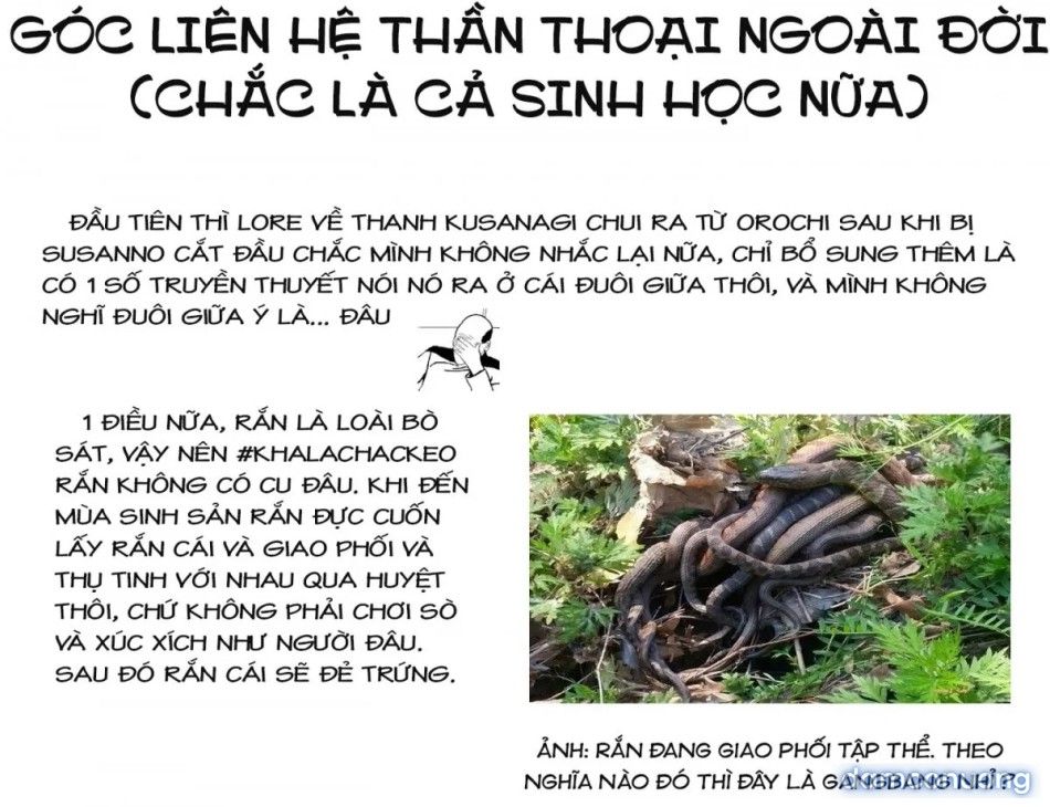 đọc truyện Đấu Trường Hoa Hồng [rosengarten Saga; Rozengaten Saga; Rosen Garten Saga] Chương 55 ảnh 25 tại Thiên Thai Truyện