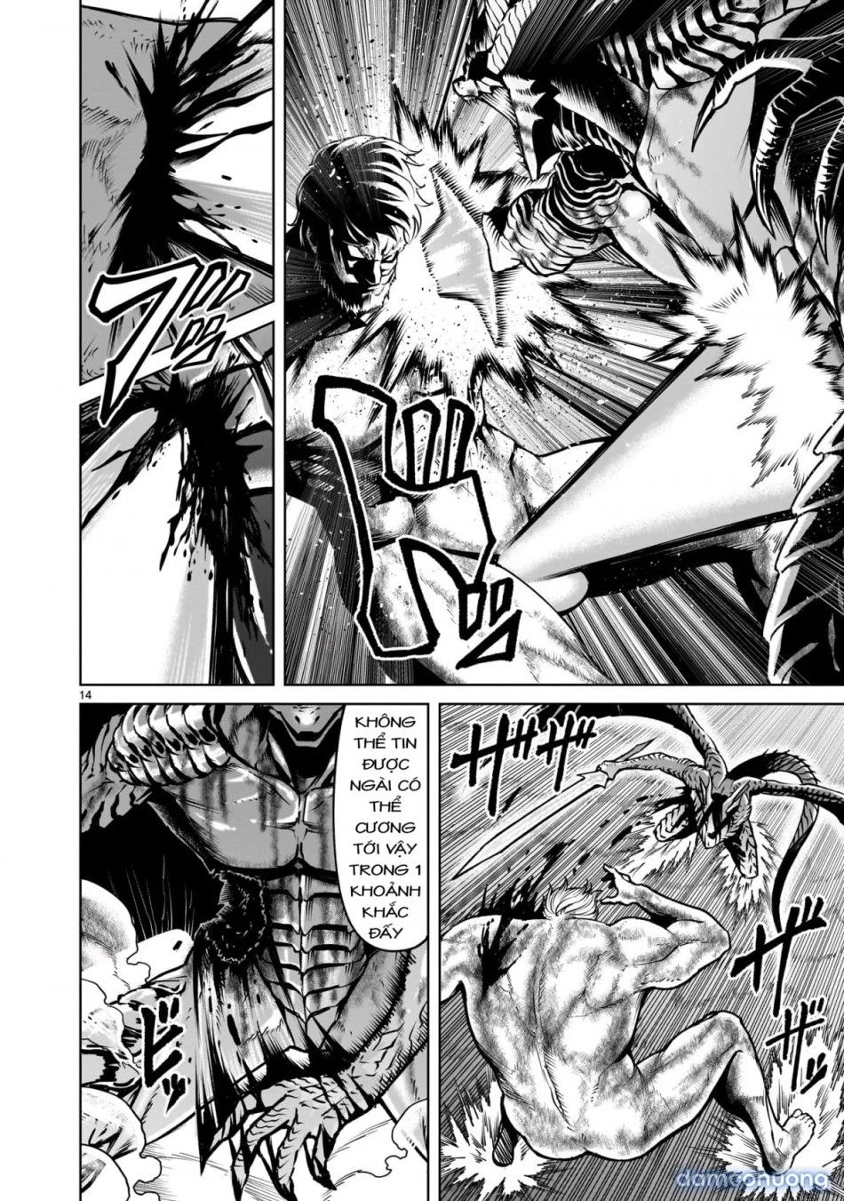 đọc truyện Đấu Trường Hoa Hồng [rosengarten Saga; Rozengaten Saga; Rosen Garten Saga] Chương 65 ảnh 13 tại Thiên Thai Truyện