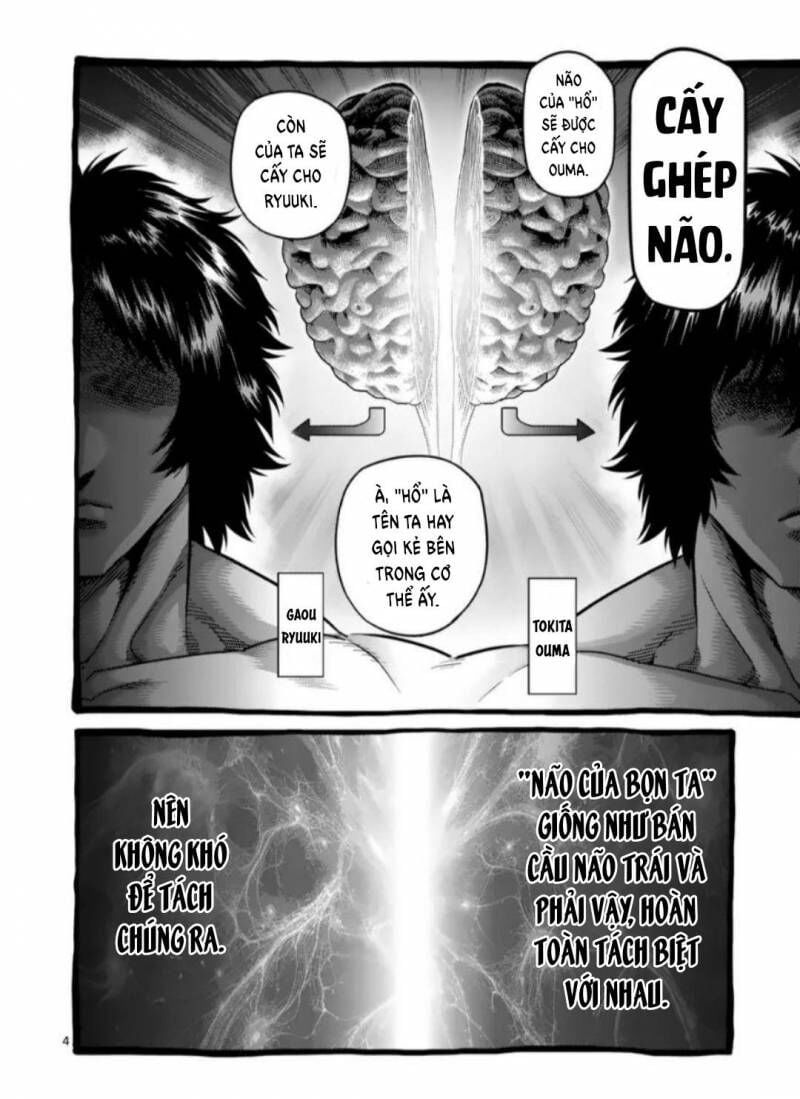 đọc truyện Đấu Trường Ngầm Chương 257 ảnh 8 tại Thiên Thai Truyện