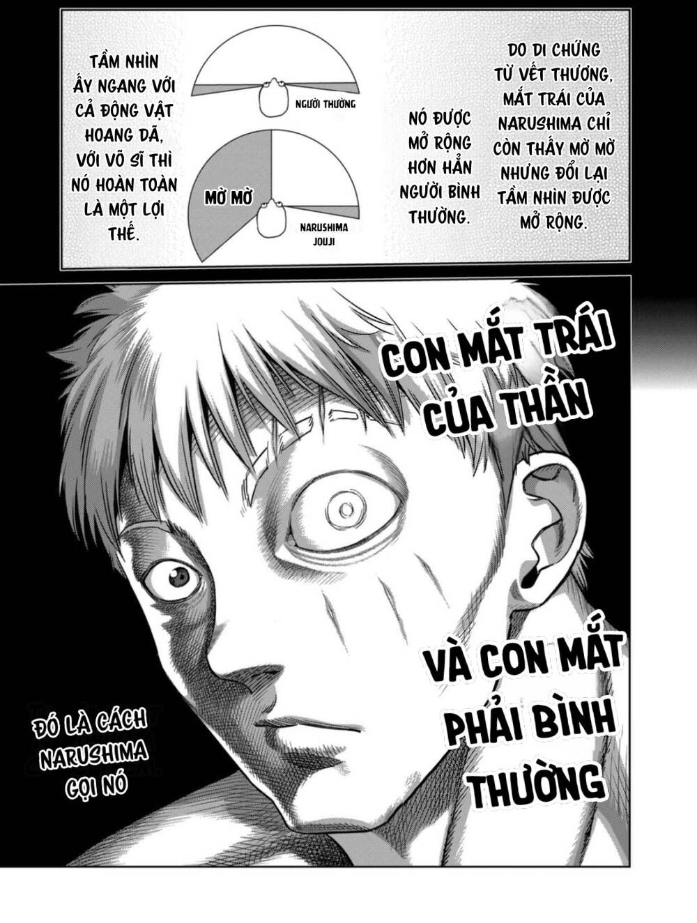 đọc truyện Đấu Trường Ngầm Chương 299 ảnh 21 tại Thiên Thai Truyện