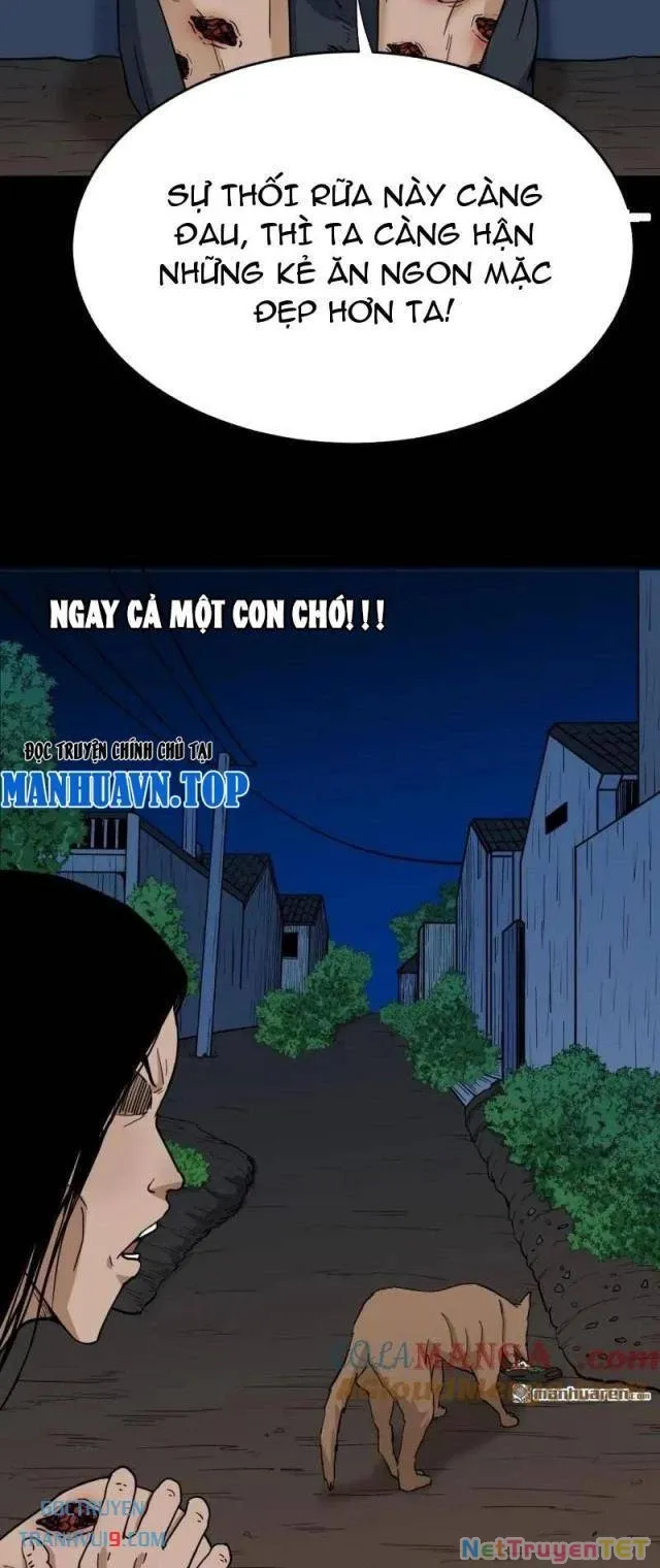 đọc truyện Đấu Yếm Thần Chương 347 ảnh 29 tại Thiên Thai Truyện