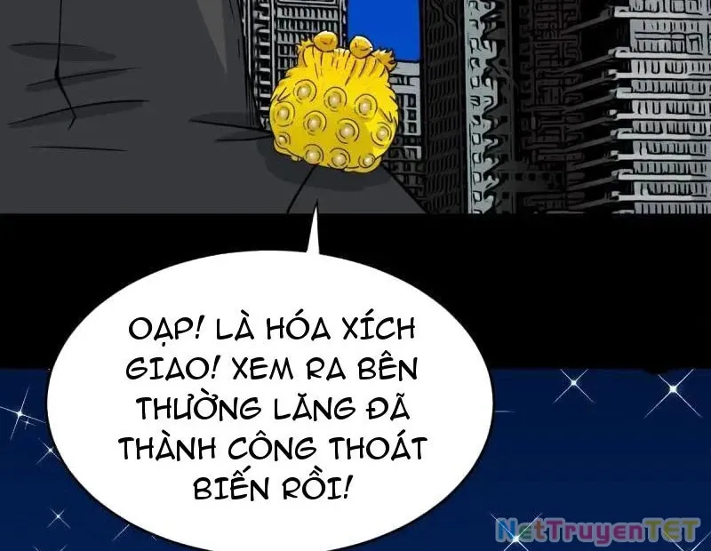 đọc truyện Đấu Yếm Thần Chương 351 ảnh 15 tại Thiên Thai Truyện