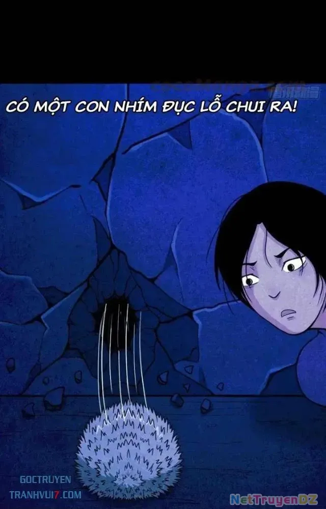 đọc truyện Đấu Yếm Thần Chương 72 ảnh 27 tại Thiên Thai Truyện