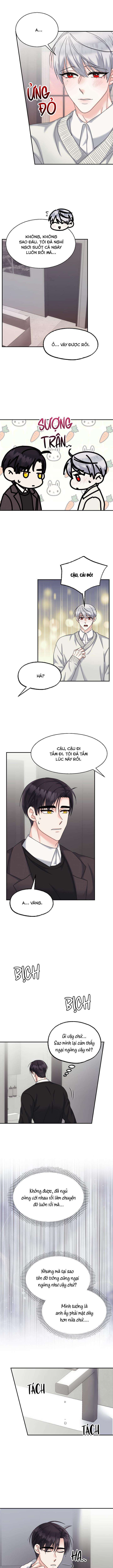 đọc truyện Đây Là Chú Thỏ Mà Bạn (không) Đã Đặt Hàng Chương 11 ảnh 5 tại Truyện Dạ Ký