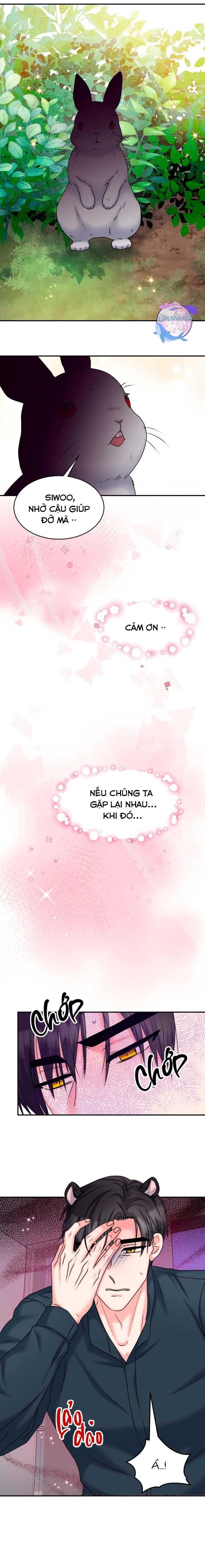 đọc truyện Đây Là Chú Thỏ Mà Bạn (không) Đã Đặt Hàng Chương 20 ảnh 11 tại Truyện Dạ Ký