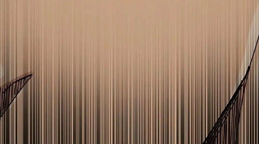 đọc truyện Để Có Thể Sống Sót Chương 190 ảnh 369 tại Thiên Thai Truyện