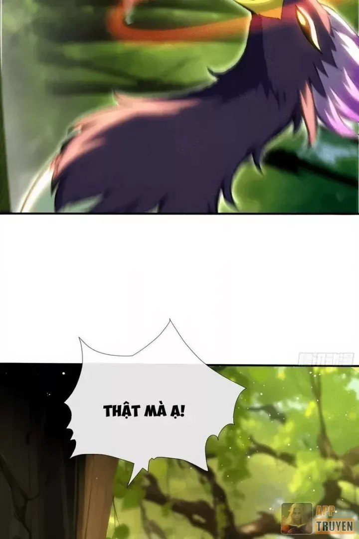 đọc truyện Đệ Nhất Ngự Thú Sư Chương 124 ảnh 19 tại Thiên Thai Truyện