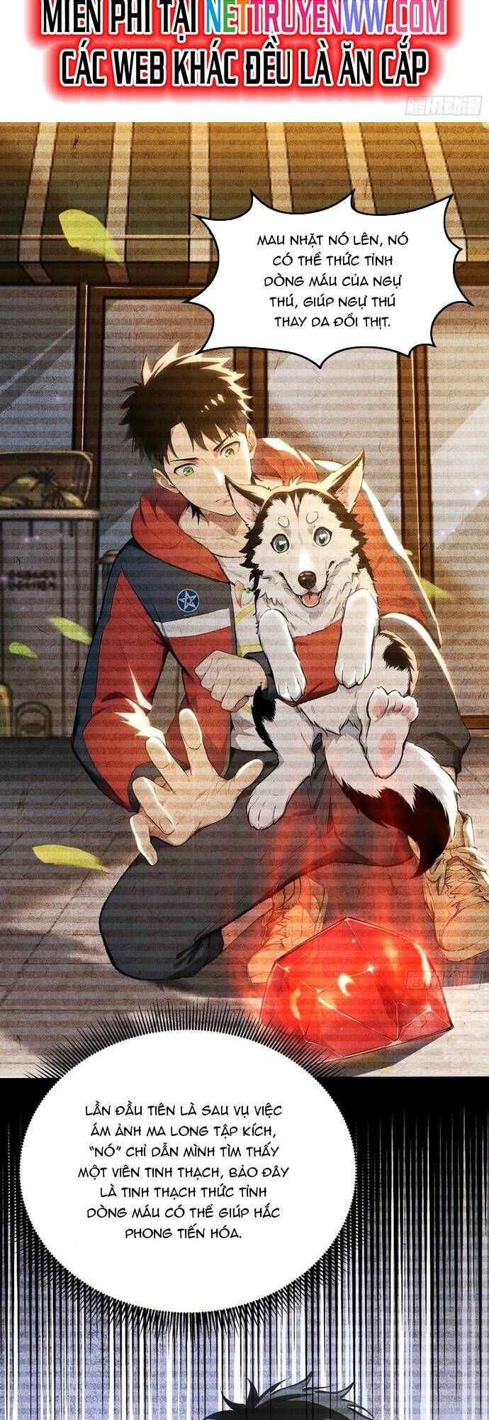 đọc truyện Đệ Nhất Ngự Thú Sư Chương 17 ảnh 31 tại Thiên Thai Truyện