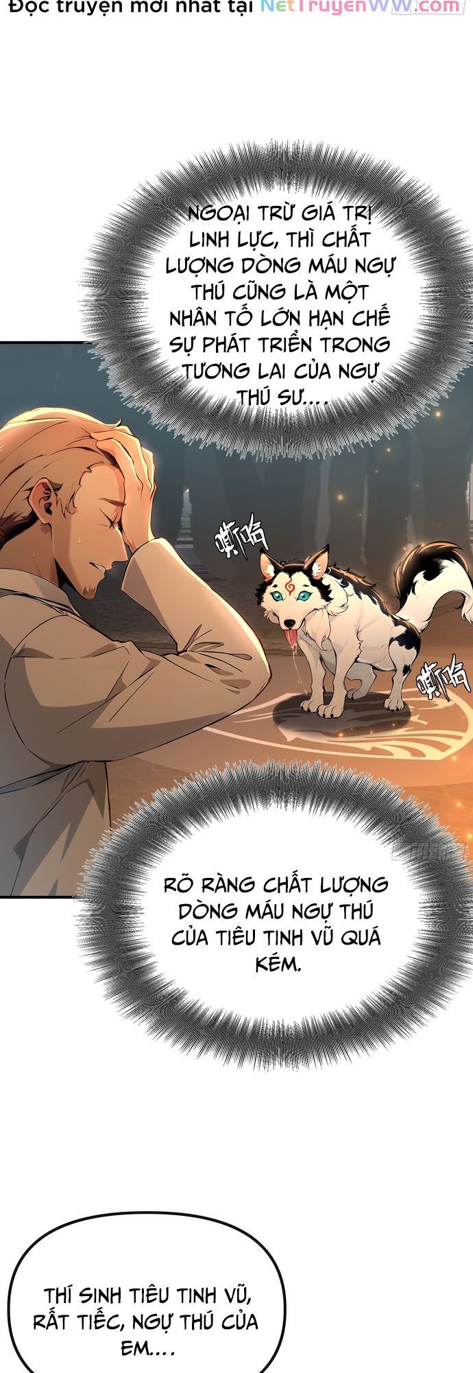 đọc truyện Đệ Nhất Ngự Thú Sư Chương 3 ảnh 9 tại Thiên Thai Truyện