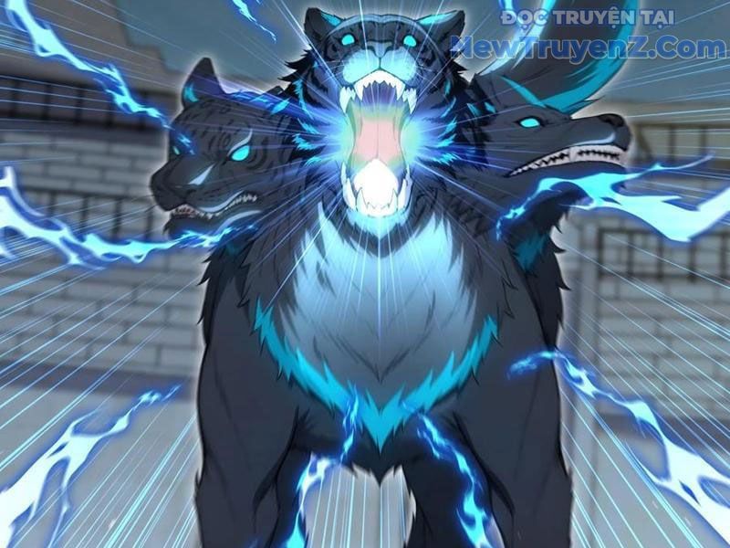 đọc truyện Đệ Nhất Ngự Thú Sư Chương 62 ảnh 51 tại Thiên Thai Truyện