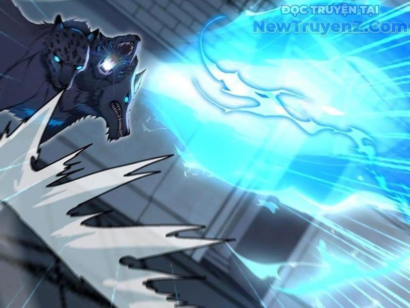 đọc truyện Đệ Nhất Ngự Thú Sư Chương 62 ảnh 54 tại Thiên Thai Truyện