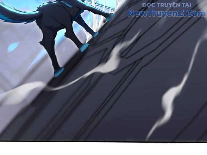 đọc truyện Đệ Nhất Ngự Thú Sư Chương 62 ảnh 62 tại Thiên Thai Truyện