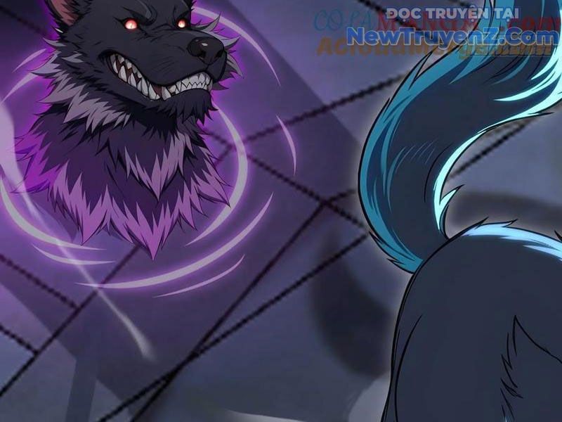 đọc truyện Đệ Nhất Ngự Thú Sư Chương 62 ảnh 64 tại Thiên Thai Truyện